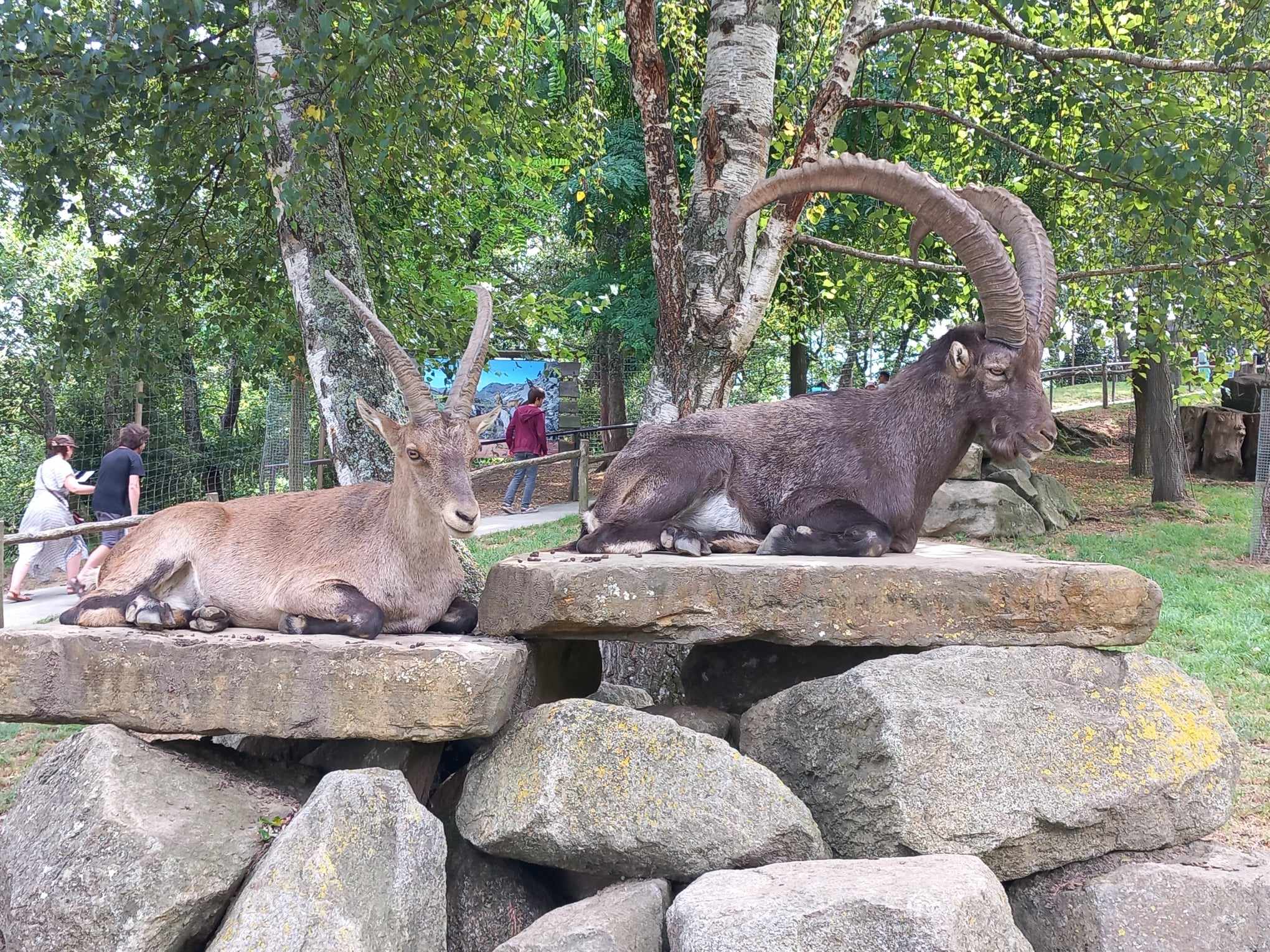 Photo n° 6 de l'avis de Magali.i fait le 17/08/2023 à 19:40