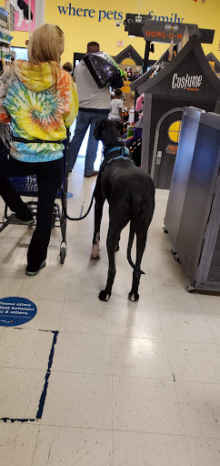 Pet Supply Store «PetSmart», reviews and photos, 1110 Hospitality Dr, Rock Hill, SC 29730, USA