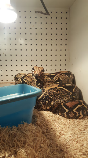 Pet Store «Animal House», reviews and photos, 7869 Hamilton Ave, Cincinnati, OH 45231, USA