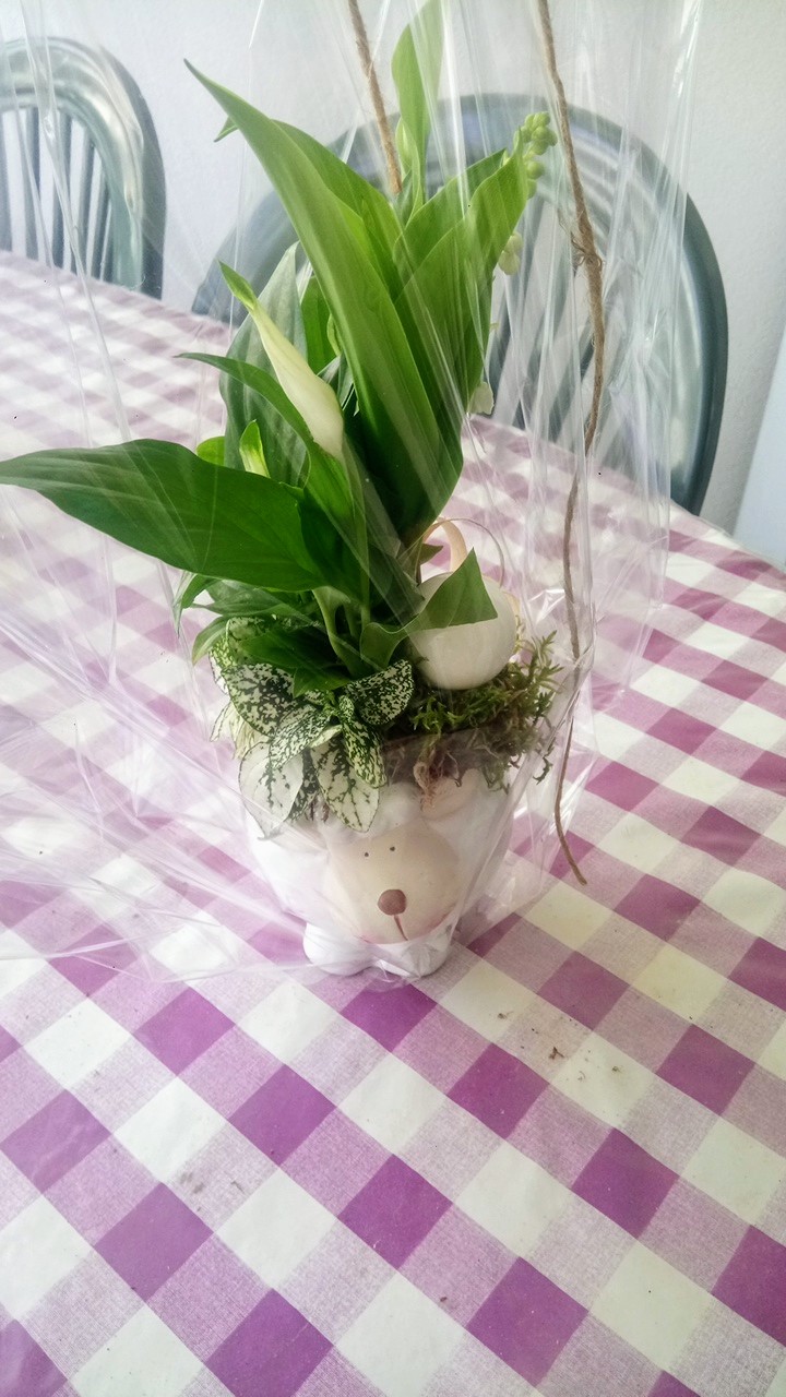 Photo n° 2 de l'avis de Elodie.e fait le 27/04/2019 à 16:08