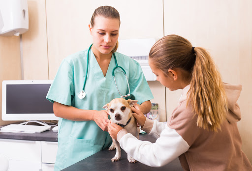 Clínica Veterinaria Més Que Gossos en Santa Coloma de Gramenet