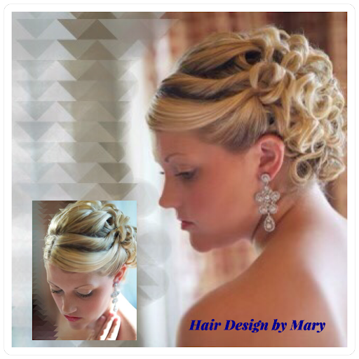 Hair Salon «Hair Force Salon», reviews and photos, 730 W Burleigh Blvd, Tavares, FL 32778, USA