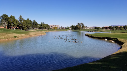 Golf Course «Stonecreek Golf Club», reviews and photos, 4435 E Paradise Village Pkwy S, Phoenix, AZ 85032, USA