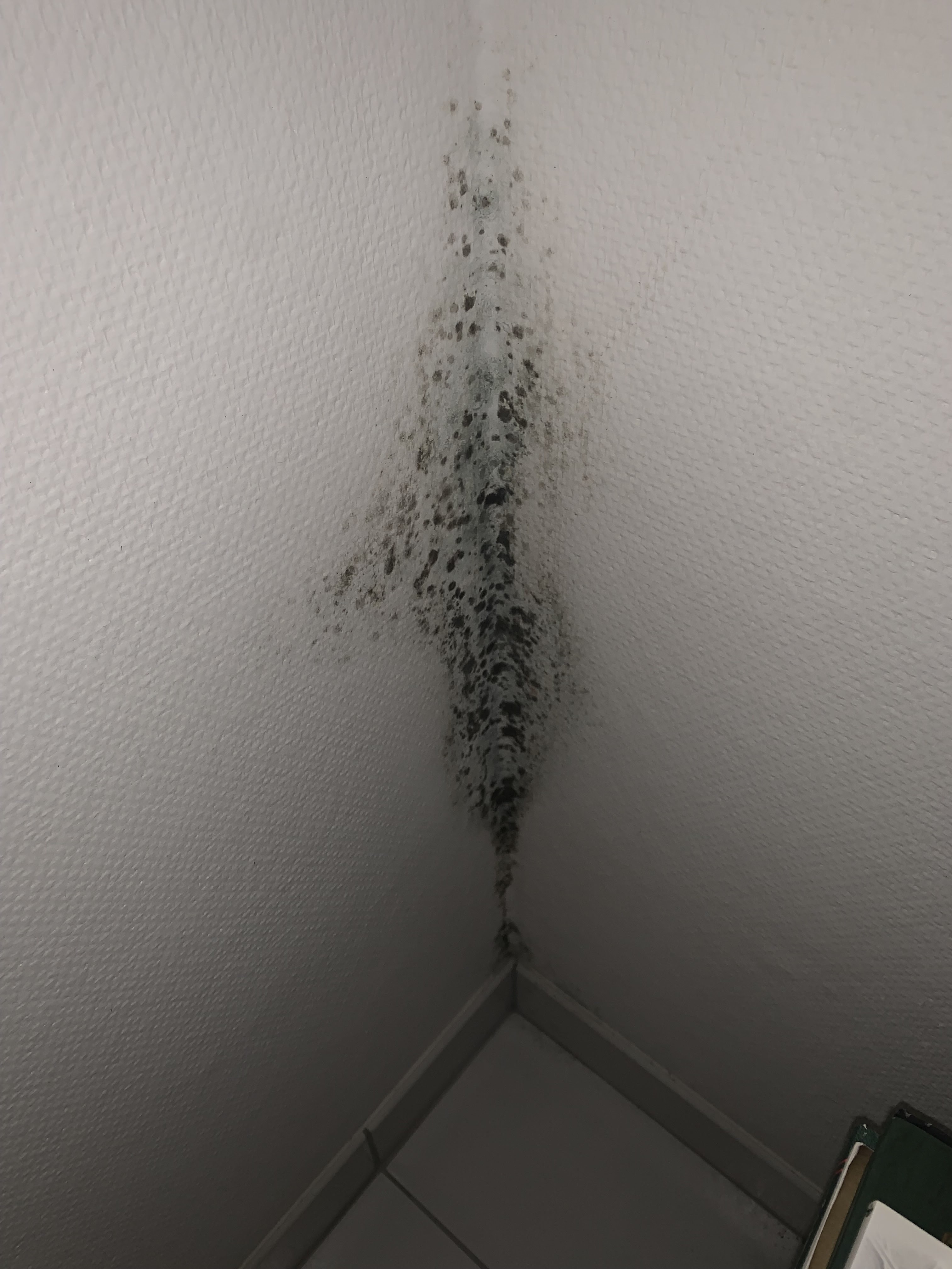 Photo n° 1 de l'avis de Mathis.a fait le 02/02/2023 à 15:32