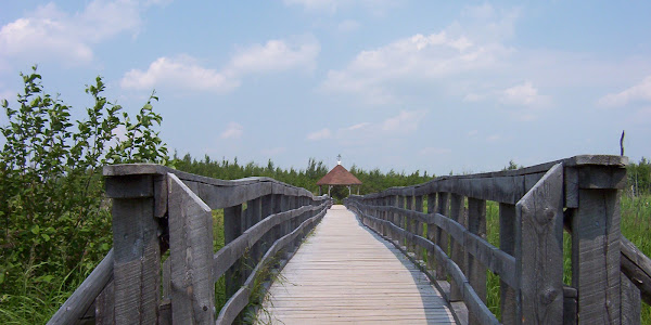 Corduroy Brook Nature Trail