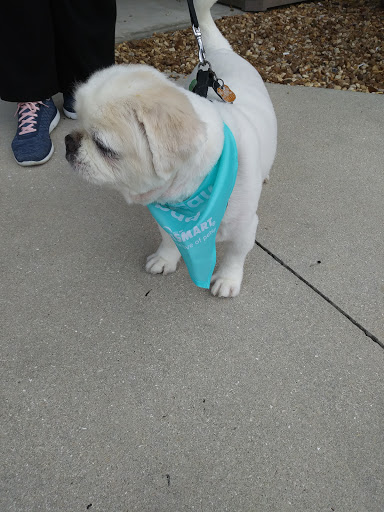 Pet Supply Store «PetSmart», reviews and photos, 2255 Pine Ridge Rd, Naples, FL 34109, USA