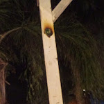 Photo n°1 de l'avis de walter.u fait le 18/08/2021 à 19:14 sur le  Ristorante del sud à Castrignano del Capo