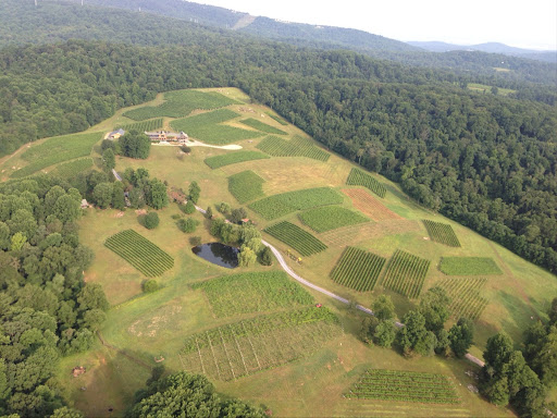 Vineyard «Linden Vineyards», reviews and photos, 3708 Harrels Corner Rd, Linden, VA 22642, USA