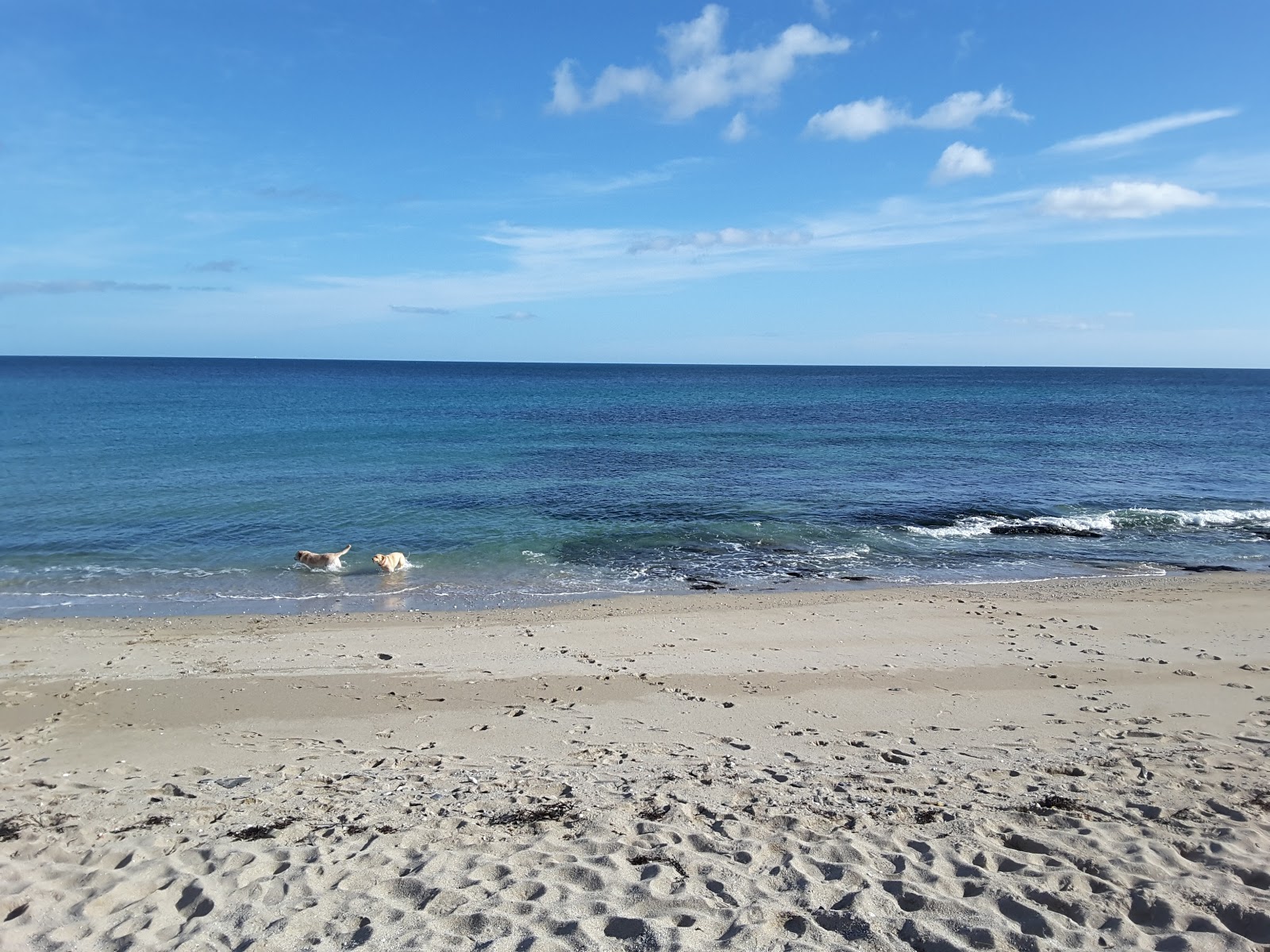 Φωτογραφία του Παραλία Τοβάν με καθαρό νερό επιφάνεια