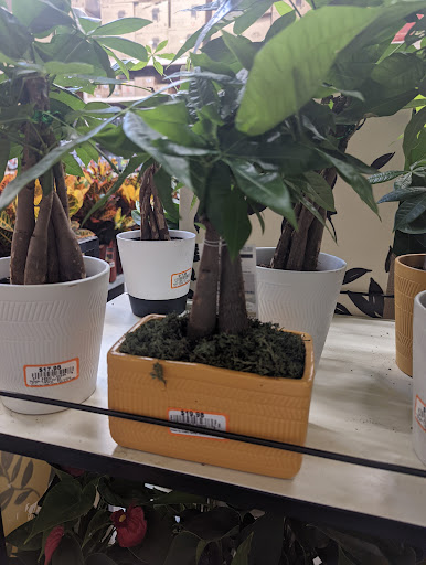 Home Improvement Store «The Home Depot», reviews and photos, 951 Westgate Way, Wylie, TX 75098, USA