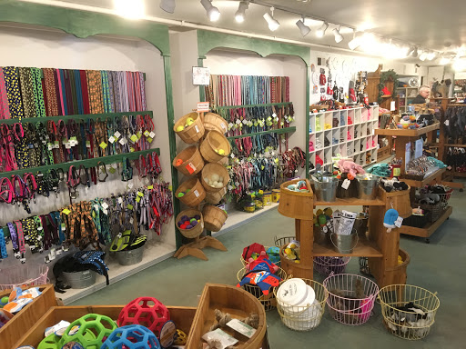 Pet Supply Store «Diggidy Dog», reviews and photos, Ocean Ave & Monte Verde St, Carmel-By-The-Sea, CA 93923, USA