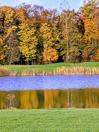 Golf Club «Timberwood Golf Club», reviews and photos, 23700 31 Mile Rd, Ray, MI 48096, USA