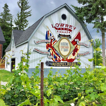 Ravine Vineyard Estate Winery by null