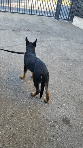 14744 Valley Blvd, La Puente, CA 91746, USA