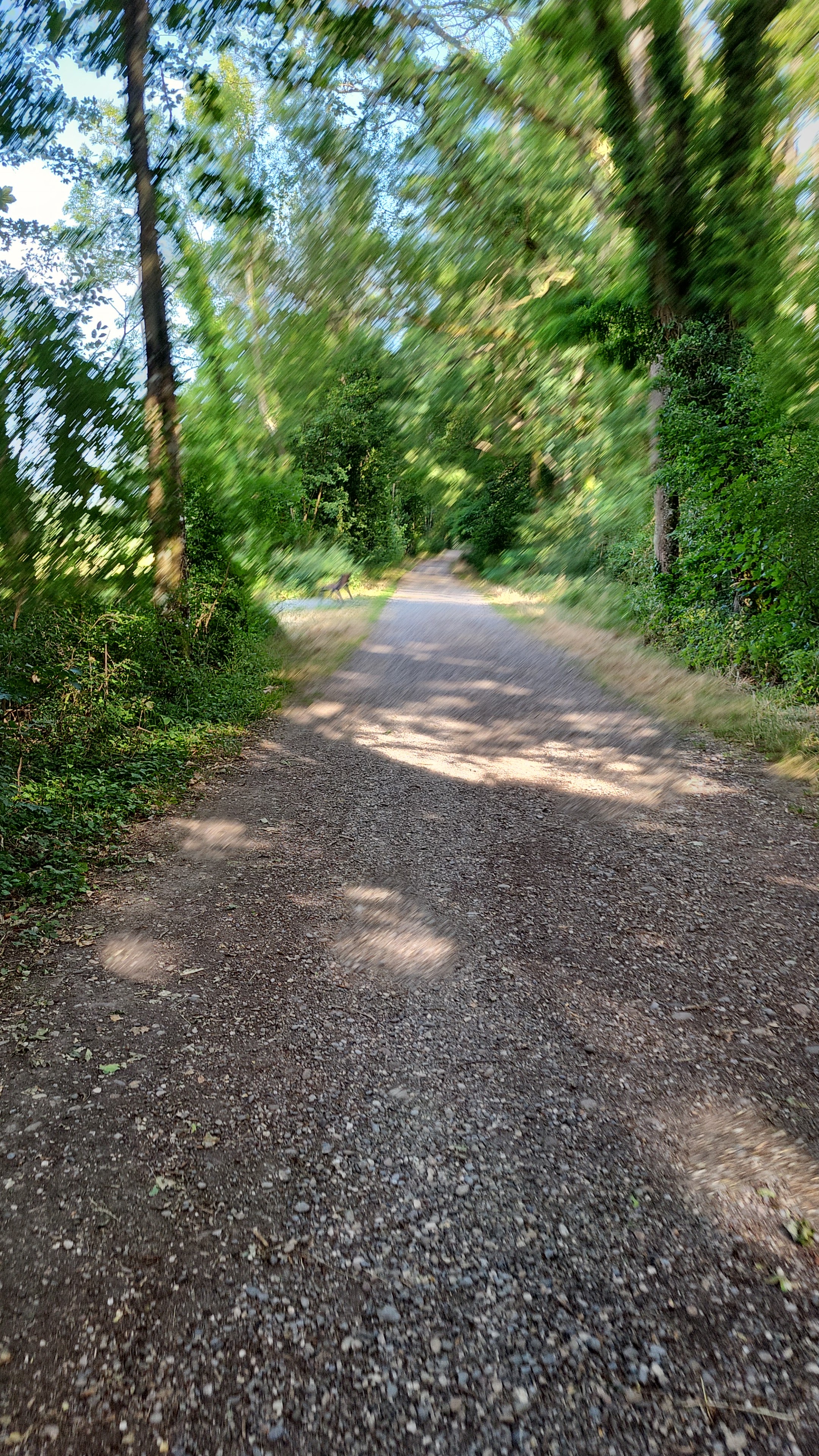 Photo n° 4 de l'avis de Yann.a fait le 03/07/2023 à 17:19