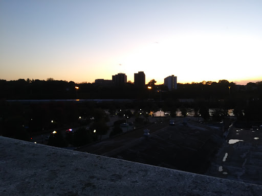 Tattoo Shop «Funky Rooster Tattoo and Art Gallery», reviews and photos, 73 S Grove Ave, Elgin, IL 60120, USA