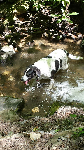 Tsali Trailhead, US Forest Service, Cheoah Ranger District