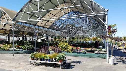 Mid City Nursery