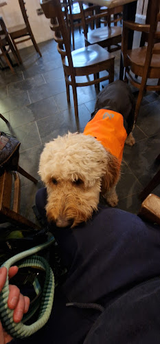 Canine & Co - The Ultimate Dog Shop - Shop