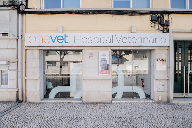 Hospital Veterinário Berna