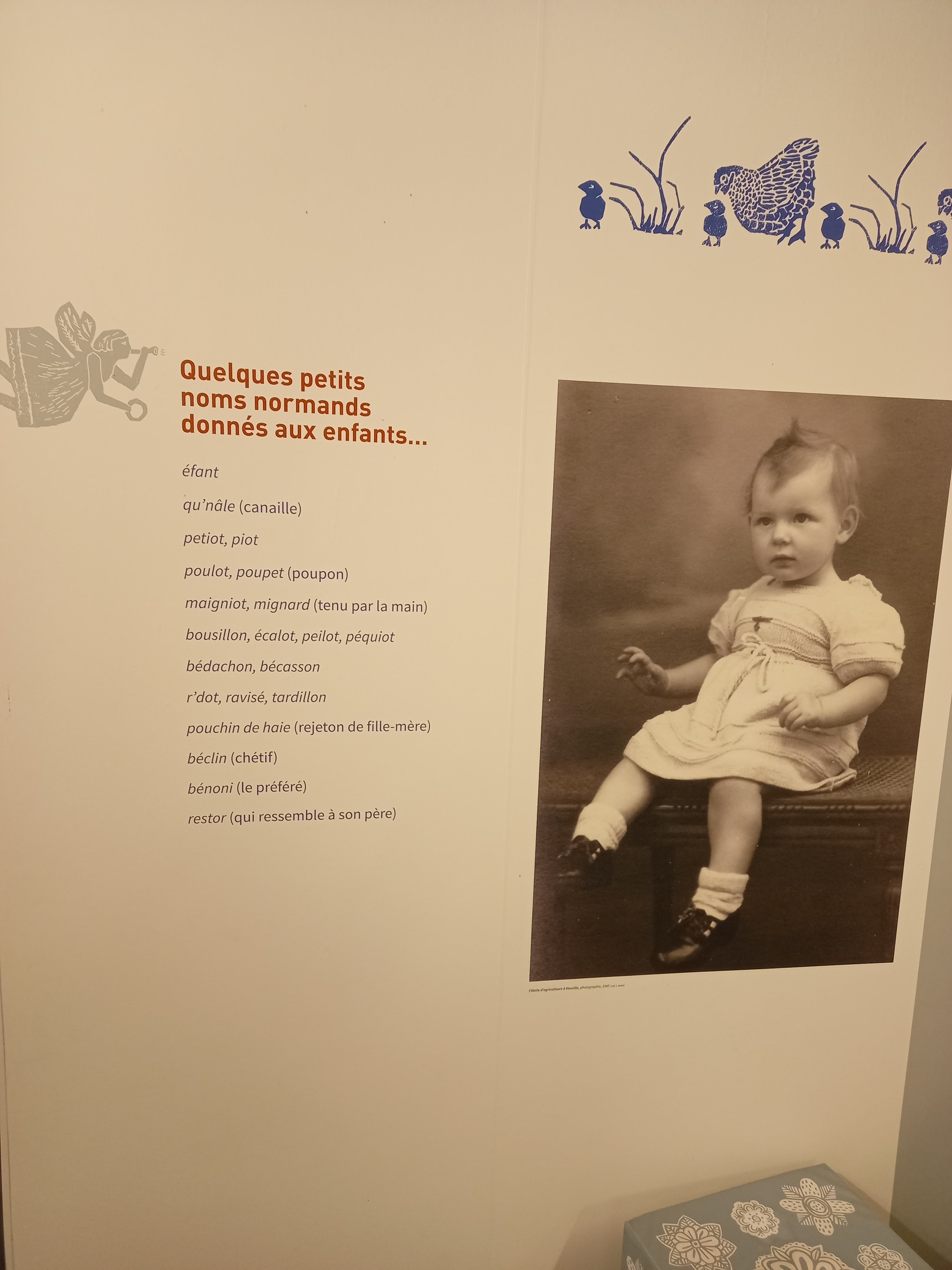 Photo n° 4 de l'avis de étienne.e fait le 02/08/2023 à 16:46