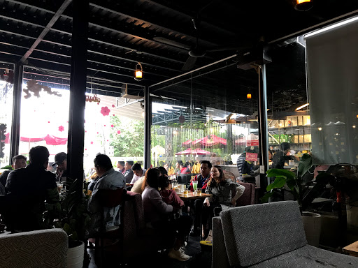 Top 20 cửa hàng trà sữa Huyện Quảng Điền Thừa Thiên Huế 2022