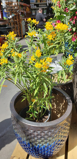 Hardware Store «Ace Hardware», reviews and photos, 21542 N John Wayne Pkwy, Maricopa, AZ 85139, USA