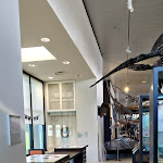 Photo n° 36 de l'avis de jean-philippe.a fait le 31/10/2021 à 06:59 pour Paléospace à Villers-sur-Mer