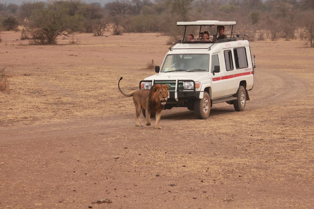 Masumin car hire & safaris