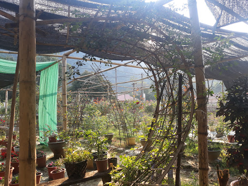 Vườn Hoa Hồng New Garden