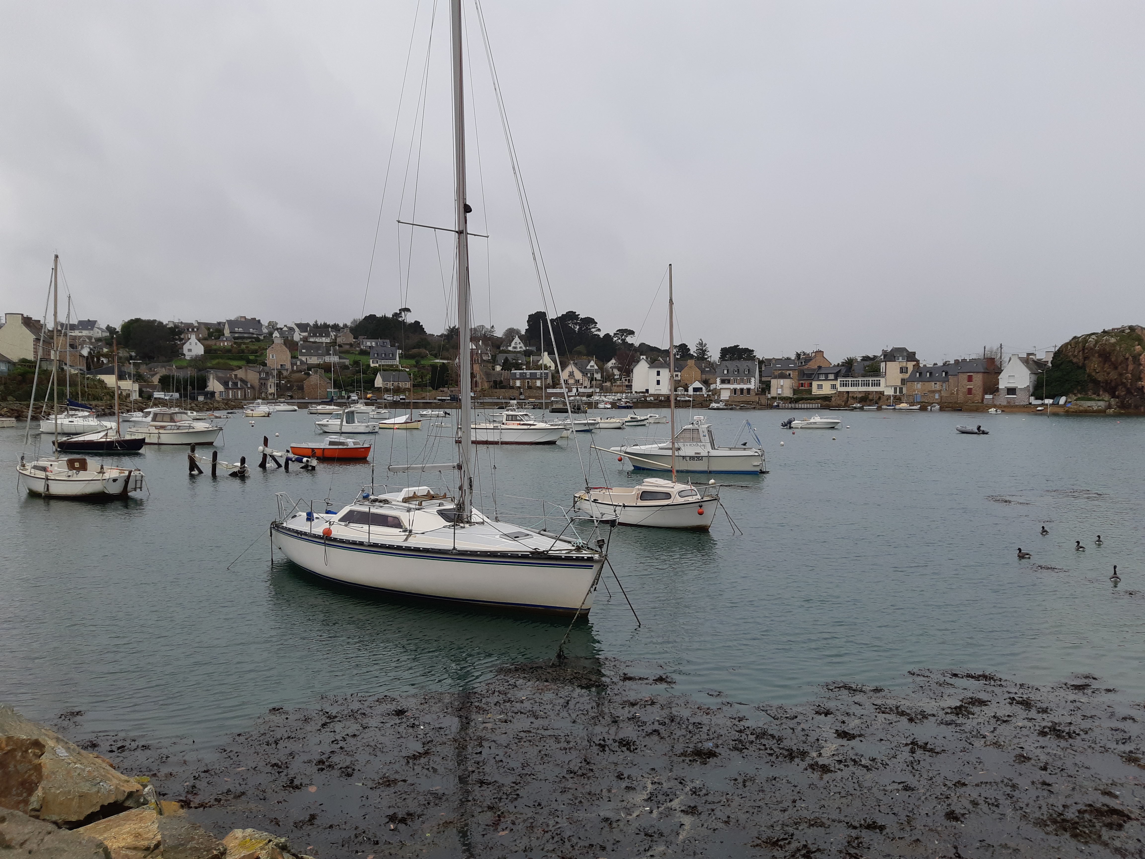 Photo n° 2 de l'avis de Nathalie.e fait le 26/01/2019 à 11:12
