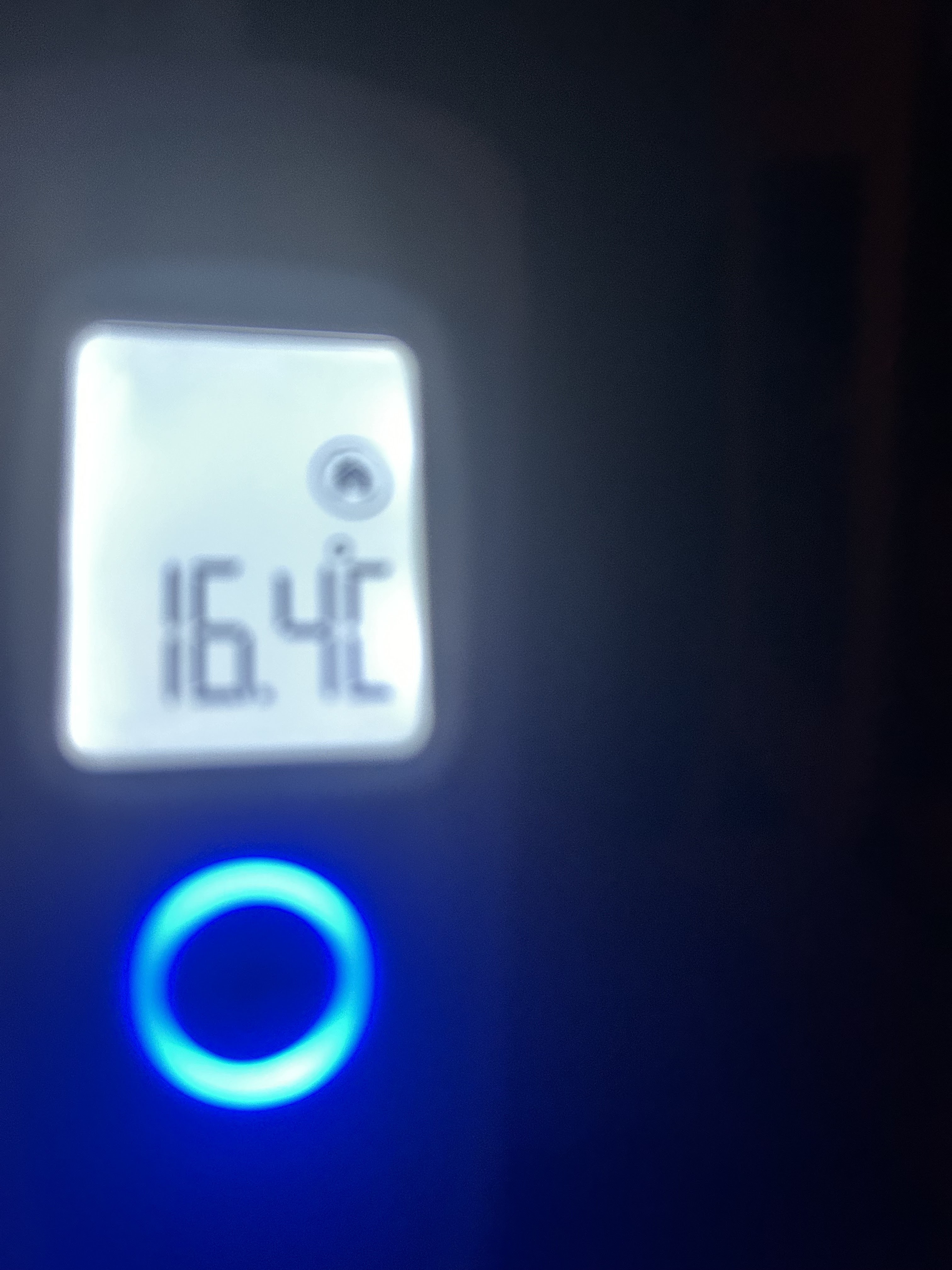 Photo n° 1 de l'avis de PATOU.E fait le 21/01/2024 à 15:22