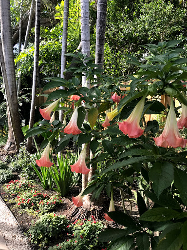 Florist «Formaneta», reviews and photos, 939 Crandon Blvd, Key Biscayne, FL 33149, USA