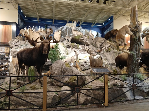 Outdoor Sports Store «Field & Stream», reviews and photos, 2075 Interchange Rd, Erie, PA 16509, USA