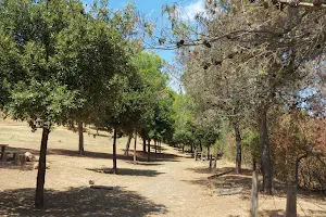 Can Cuyàs Park image