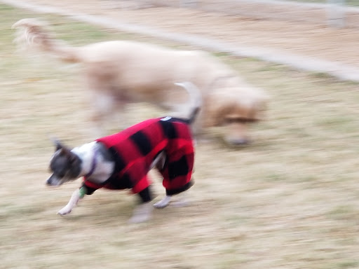 Park «Paradise Valley Park», reviews and photos, 17642 N 40th St, Phoenix, AZ 85032, USA