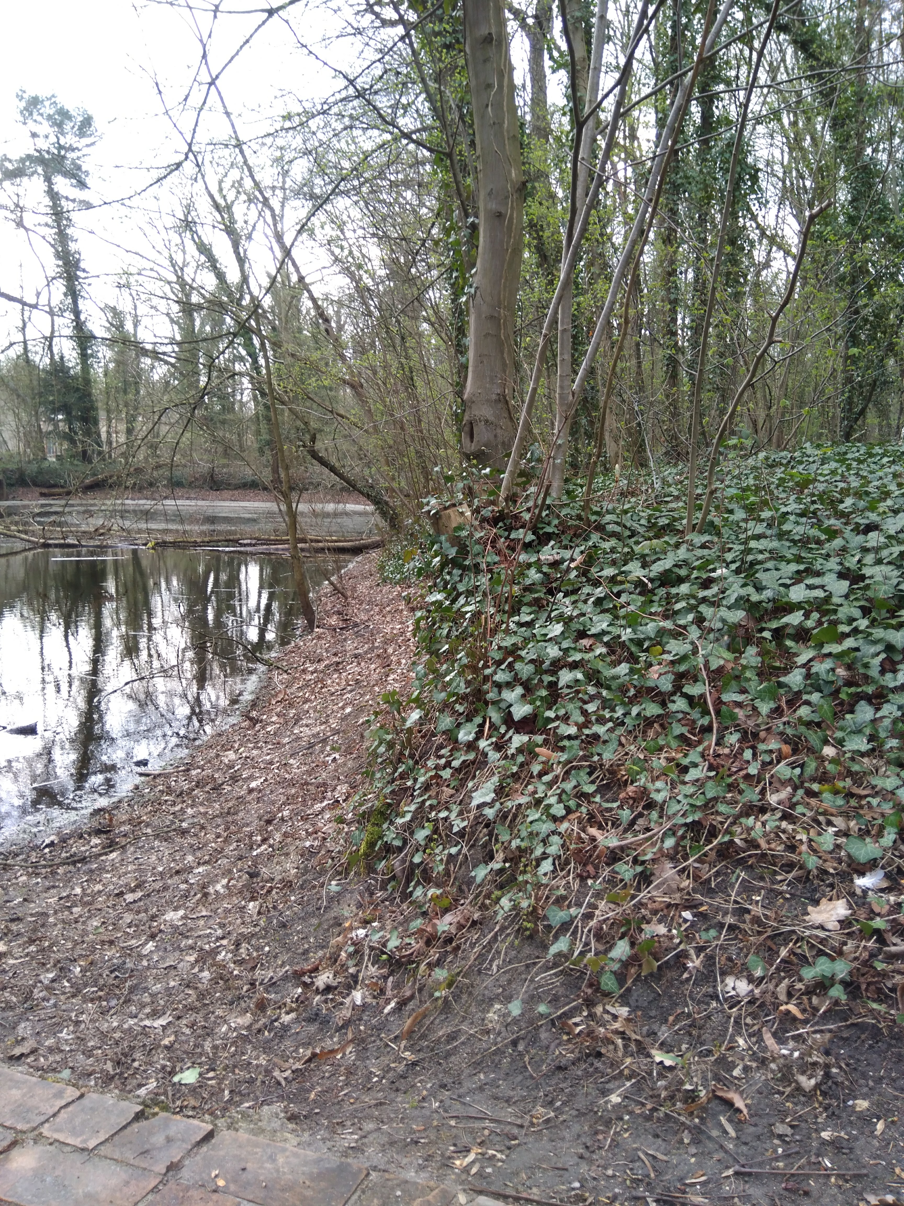 Photo n° 3 de l'avis de carboni.a fait le 24/03/2019 à 15:43