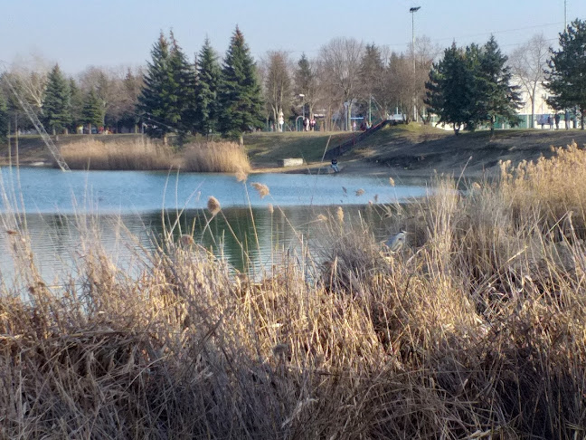 Omszki-tó parkoló - Parkoló