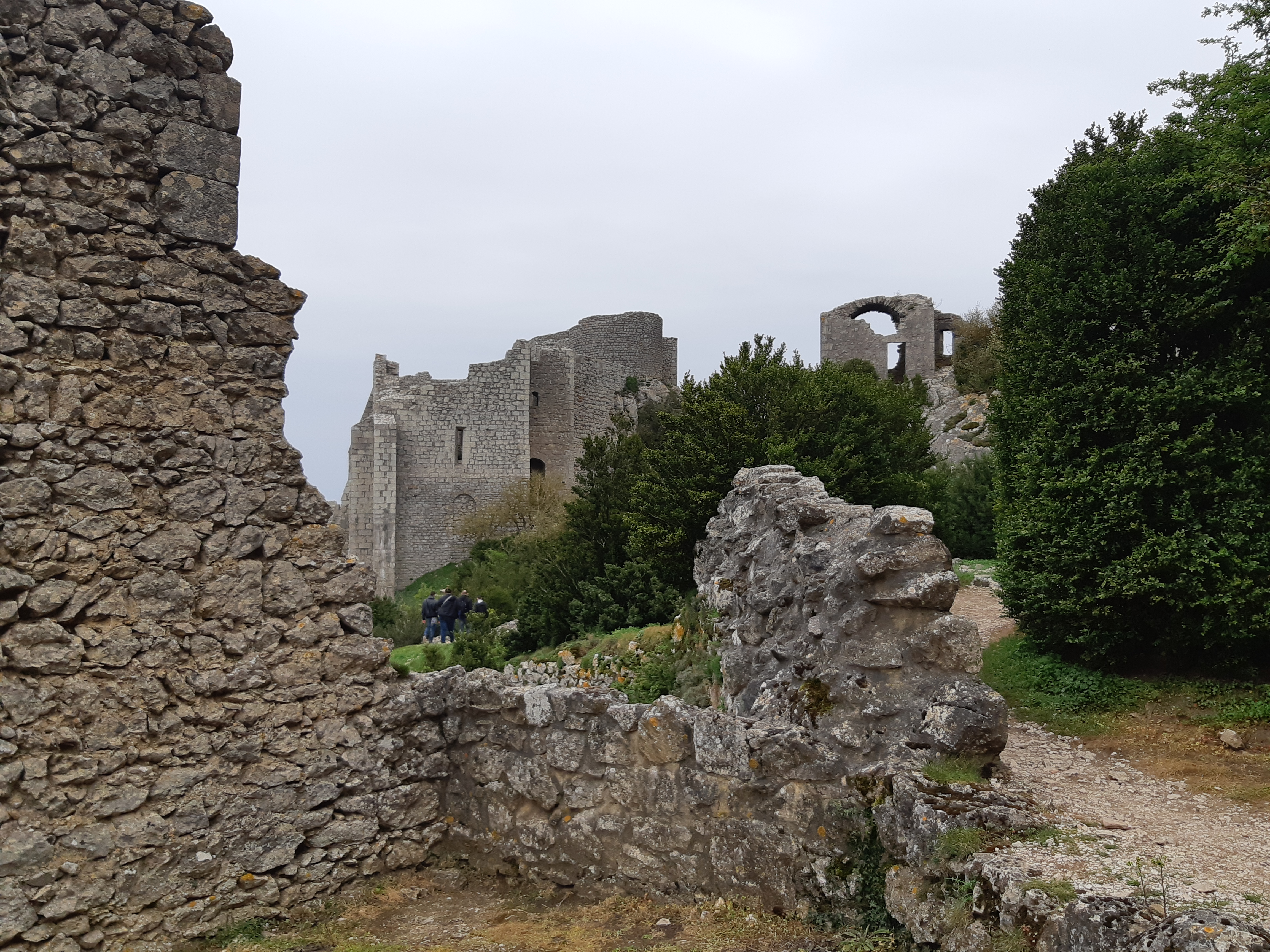 Photo n° 3 de l'avis de Olive.. fait le 22/04/2019 à 16:32