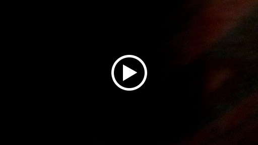 Discount Store «Dollar General», reviews and photos, 545 Railroad Ave, Centreville, MD 21617, USA