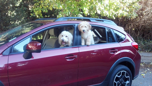 Subaru Dealer «McCrea Subaru», reviews and photos, 1406 5th St, Eureka, CA 95501, USA