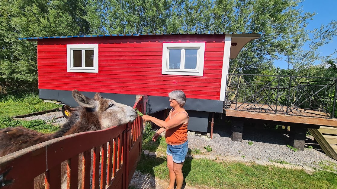 La Roulotte des Ânes - Location Airbnb à Ruminghem (Pas-de-Calais 62)