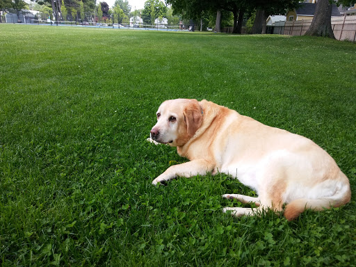 Park «Rideout Playground», reviews and photos, 61 Laws Brook Rd, Concord, MA 01742, USA