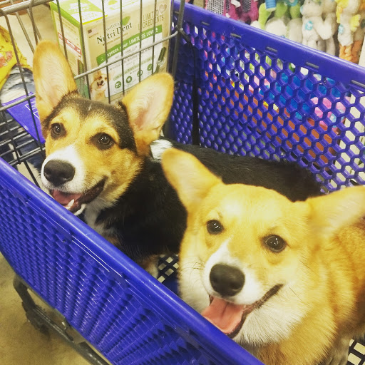 Pet Supply Store «PetSmart», reviews and photos, 2140 17th St, Santa Ana, CA 92705, USA