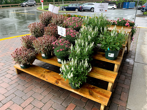 Grocery Store «Whole Foods Market», reviews and photos, 990 Iyannough Rd, Hyannis, MA 02601, USA