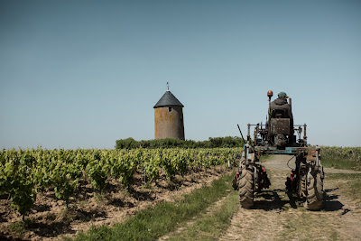 Domaine Ménard-Gaborit à Monnières