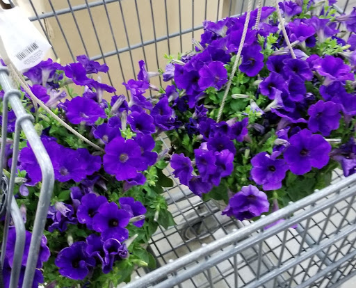 Department Store «Rural King», reviews and photos, 230 Central Pkwy, Heath, OH 43056, USA