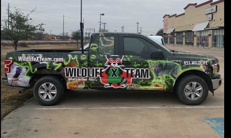 Wildlife X Team Dallas