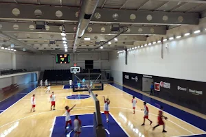 Turkiye Basketbol Federasyonu image