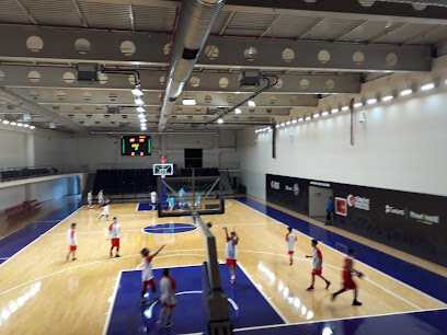 Turkiye Basketbol Federasyonu